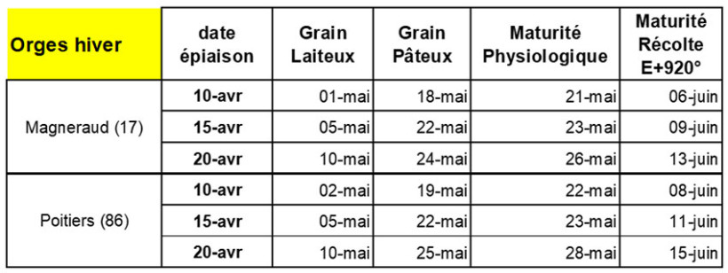 Figure 2 : Prévision des étapes de formation du grain et de maturation pour les orges en fonction des dates d’épiaison