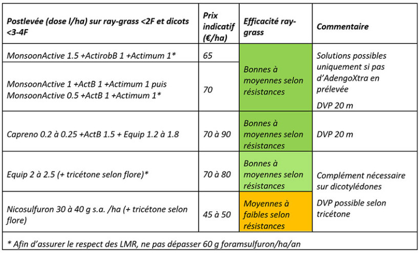 Tableau 2 : Exemples de solutions de postlevée, à appliquer en relais de la prélevée sur de très jeunes ray-grass – produit, dose/ha