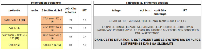 Tableau 2 : Propositions de programmes tout automne en blé dur, correspondant à des situations de graminées résistantes