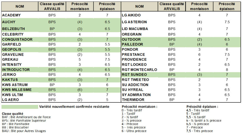 Tableau 3 : Variétés résistantes à la cécidomyie orange (liste non exhaustive)