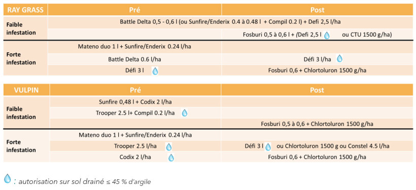 Tableau 3 : Programmes herbicides avec des produits à base de flufénacet
