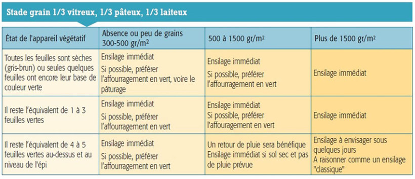 Stade 1/3 vitreux, pâteux, laiteux : stade 32%MS ensilage immédiat
