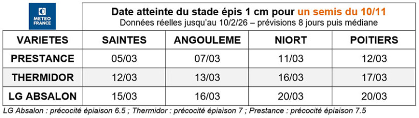 Tableau 3 : Date atteinte du stade épi 1 cm pour un semis du 10/11