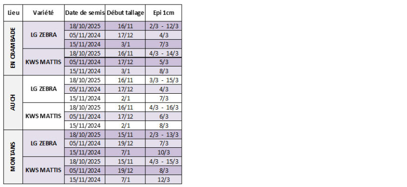 Tableau 3 : Dates prévisionnelles des stades début tallage et épi 1 cm en orge d’hiver selon la date de semis, la variété et la station