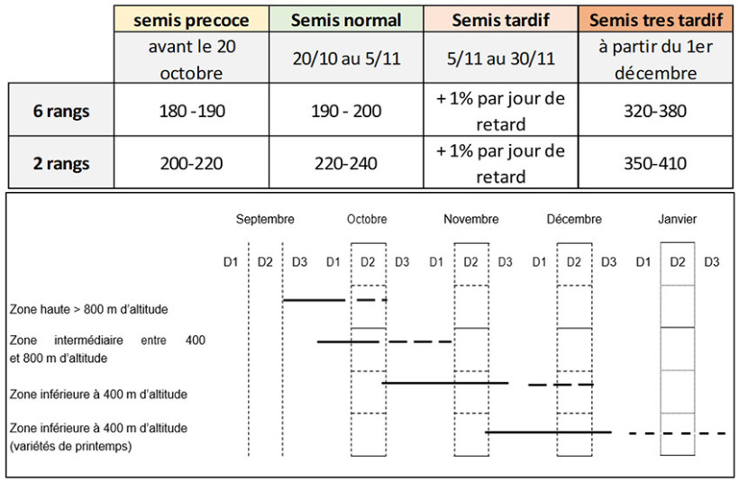 Tableau 4 : Préconisations de densité de semis, selon la période d’implantation, en orge