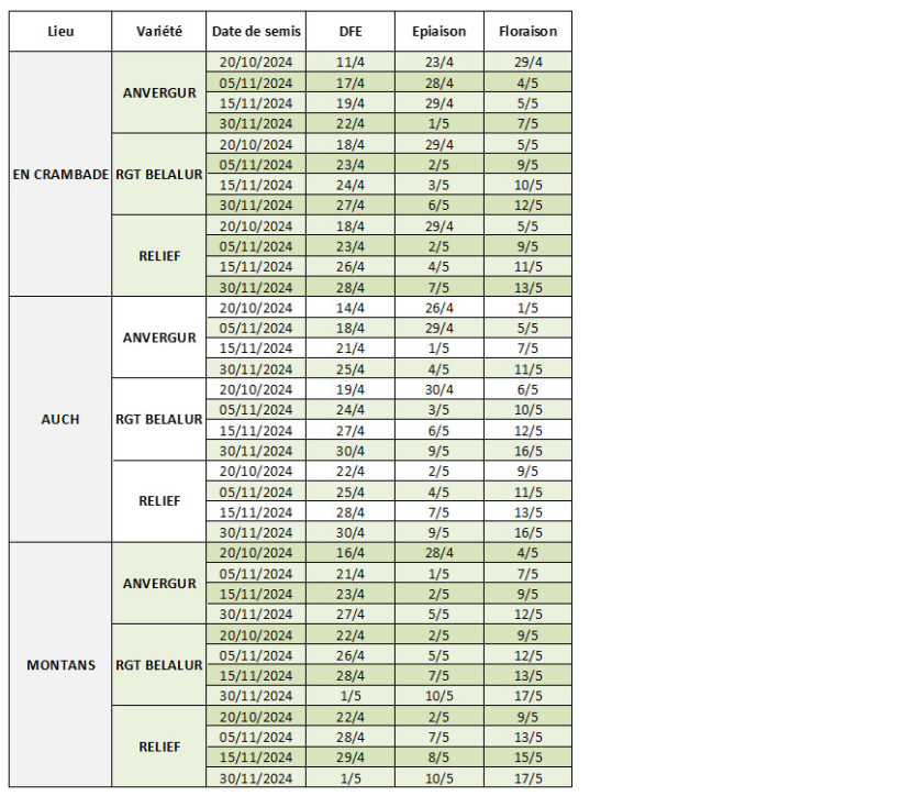 Tableau 1 : Dates prévisionnelles des stades DFE à floraison en blé tendre selon la date de semis, la variété et la station