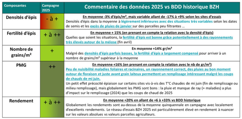 Tableau 1 : Récapitulatif sur les composantes de rendement en blé tendre 2024/2025 en Bretagne
