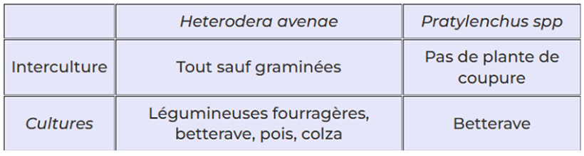 Tableau 1 : Cultures empêchant la multiplication des parasites