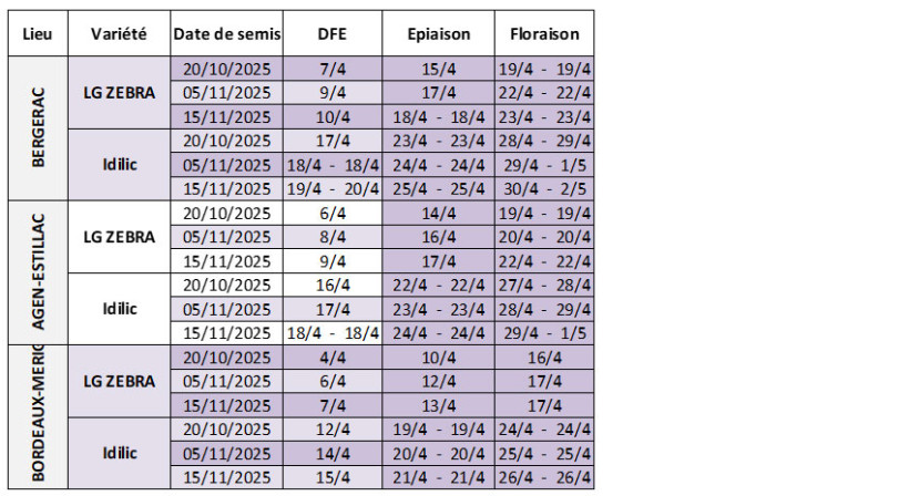 Tableau 2 : Dates prévisionnelles des stades DFE à floraison en orge d’hiver selon la date de semis, la variété et la station