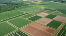 Vue aérienne de parcelles agricoles