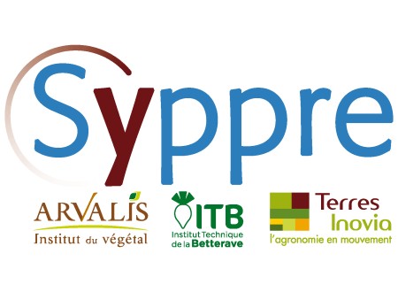 Syppre - ARVALIS, ITB, Terres Inovia