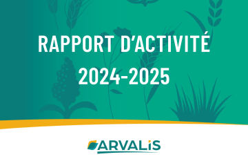 Rapport d'activité 2024-2025