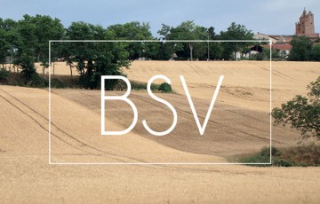BSV Midi-Pyrénées : état des lieux des cultures de la région