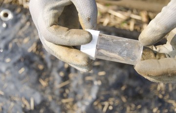 Une limace dans un flacon plastique avant les semis de céréales 2022 en Lorraine