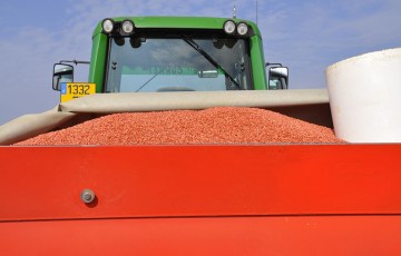 trémie de semoir remplie de semences fermières de blé tendre pour les semis 2022 en Poitou-Charentes