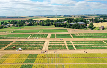 plateforme essais pdt