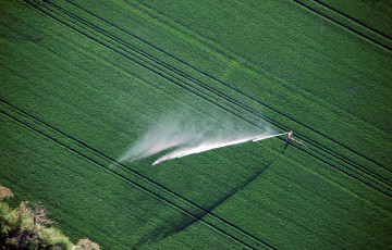 Irrigation du blé tendre en 2026 en Auvergne