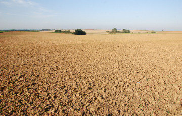 Une parcelle nue avant semis de blé dur à l’automne 2025 en Occitanie