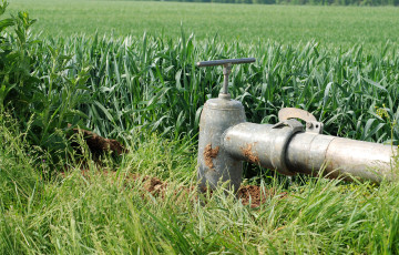 Vanne d'irrigation devant une parcelle de blé tendre en 2026 en Poitou-Charentes