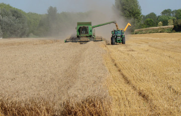 Récolte du blé dur en 2026, en Poitou-Charentes