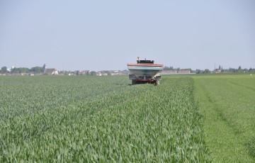 Apport d’azote sur blé à DFE en Bourgogne-Franche Comté en 2024