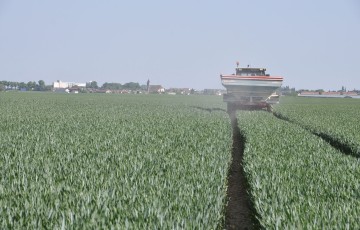 Apport d’azote sur blé dur à DFE en 2024 dans le Sud-Ouest
