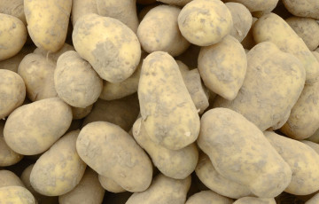 tas de pommes de terre 