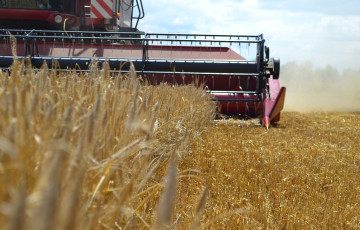 Une moissonneuse-batteuse rouge récolte l'orge d'hiver en juin 2026 en Franche-Comté