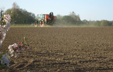 Désherbage de prélevée sur maïs en avril 2024 en Poitou-Charentes