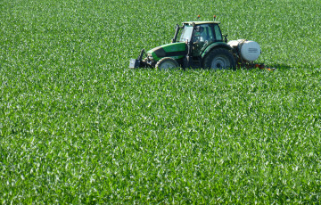 épandeur à engrais dans du maïs