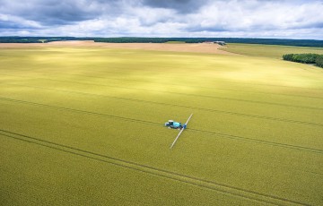 Intervention fongicide sur blé en 2024 en Poitou-Charentes