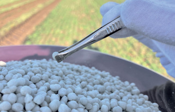 Un granulé d'azote dans une pince à épiler