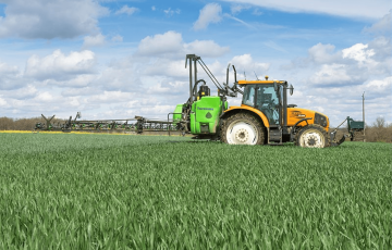 Pulvé dans une parcelle de blé tendre au stade 1 – 2 nœuds, début mars 2026 en Occitanie