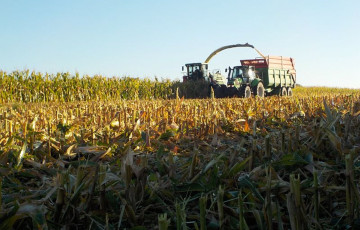 Ensilage de maïs en Bretagne