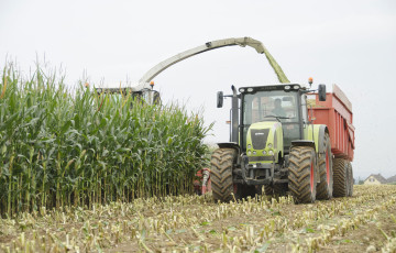 chantier d'ensilage