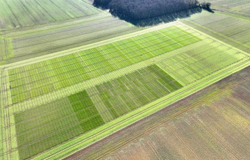 Essais variétés 2025 en Hauts de France