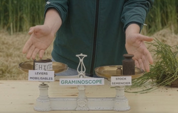 le graminoscope