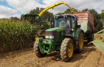 Récolte de maïs fourrage en 2023 dans le Limousin