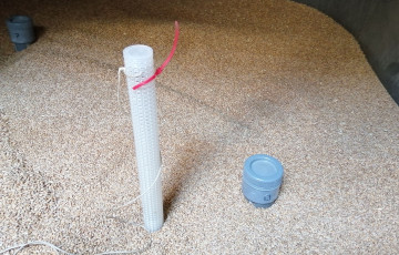 pièges à insectes dans cellule de grains