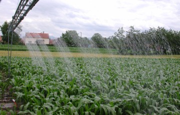 Irrigation du maïs en juin 2023 en Poitou-Charentes