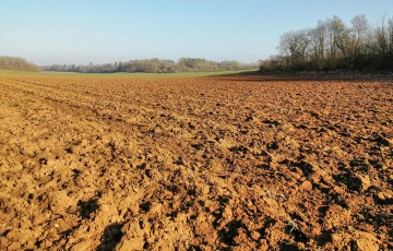 Parcelle nue avant les semis de blé 2023 en Hauts de France
