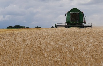 Moissonneuse-batteuse dans un champ de blé à maturité, pour la récolte 2023 en Poitou-Charentes