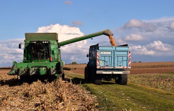 Récolte du maïs grain en 2023 en Alsace