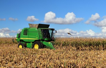 Récolte de maïs grain en 2023 en Hauts de France