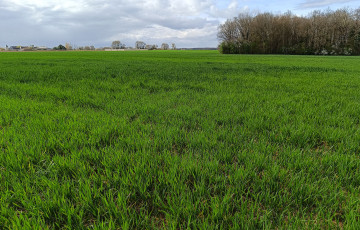  Tour de plaine début avril 2026, en Pays de Loire