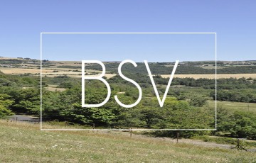 BSV Limousin : état des cultures, maladies, ravageurs, adventices