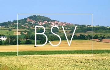 BSV Auvergne : état des cultures, maladies, ravageurs, adventices