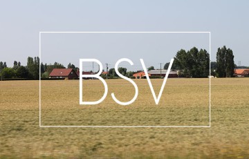 BSV Hauts-de-France : état des cultures, maladies, ravageurs