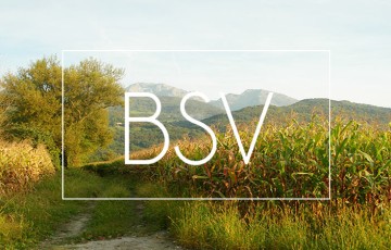 BSV Rhône-Alpes : état des cultures, maladies, ravageurs, adventices