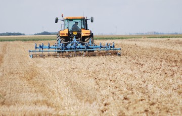 Herbicides vs agronomie : des résultats économiques équivalents
